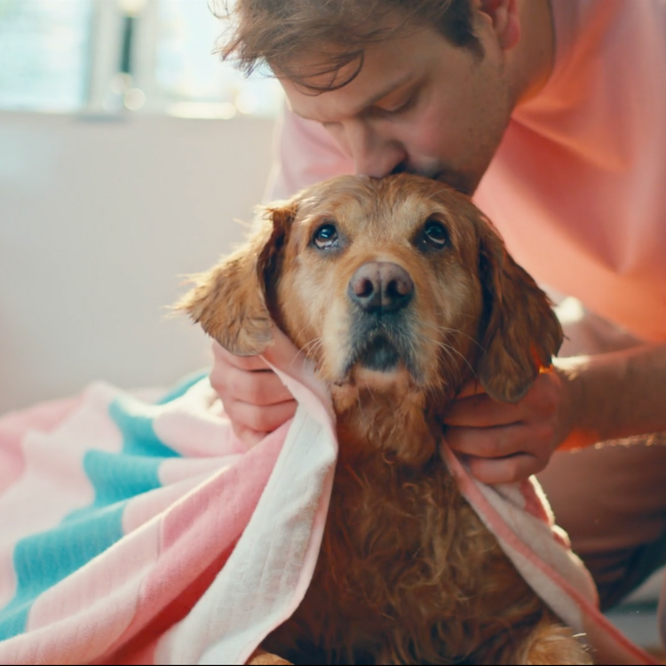 PETLOVE